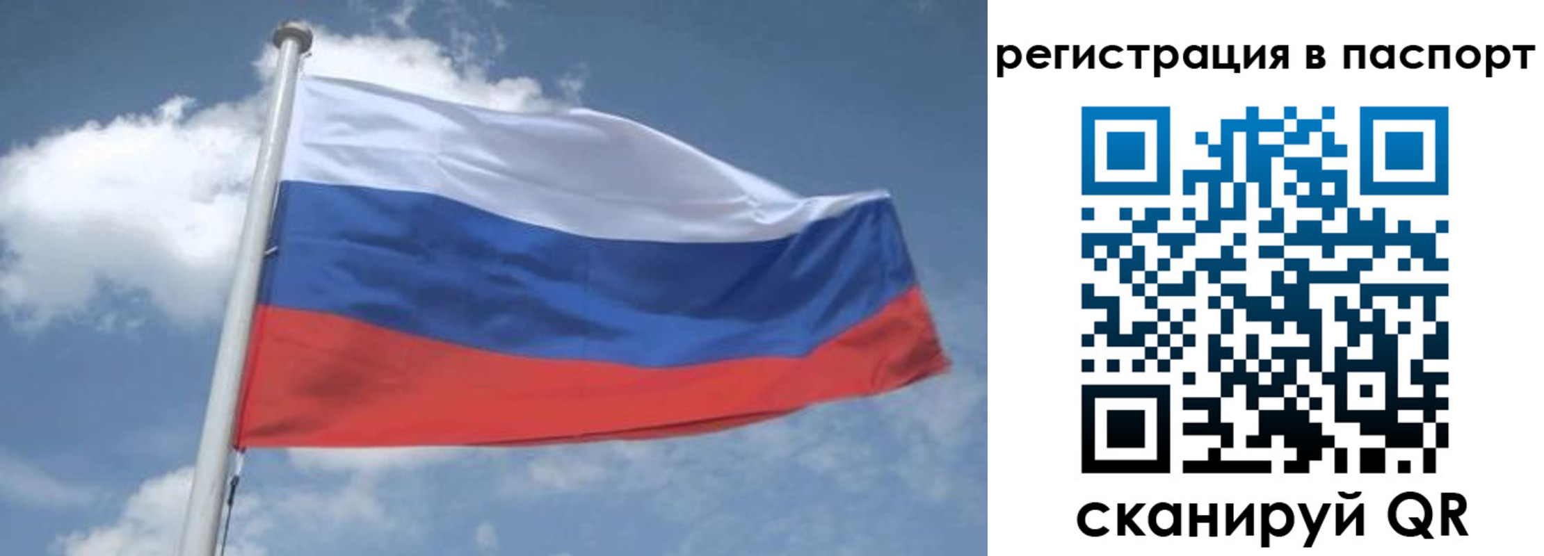 временная регистрация надежно в Волосово